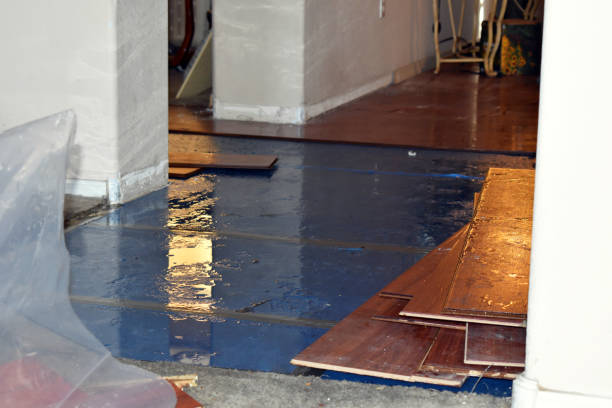 Professional Basement Flood Cleanup technician working in Bruno, MN